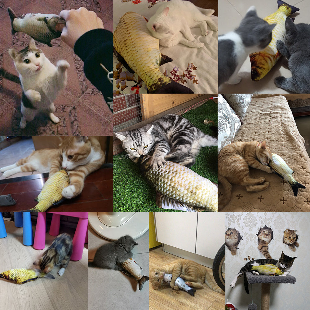 Electric Jumping Fish Toy