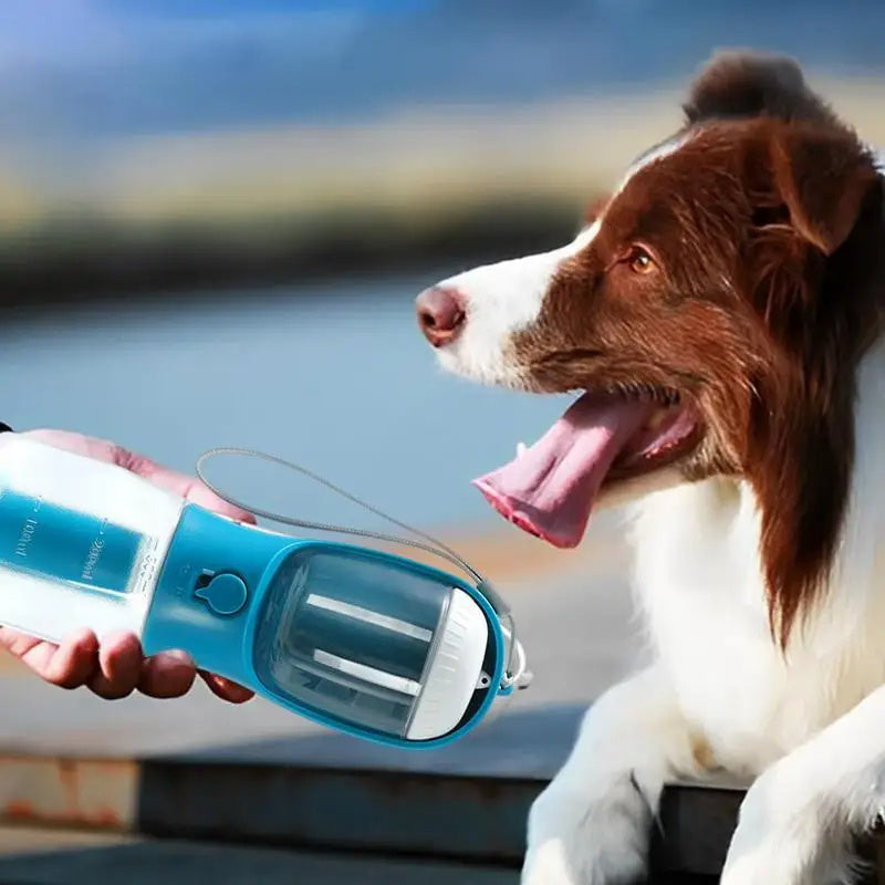 3-in-1 Dog Water Bottle