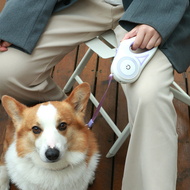 Retractable Dog Leash with Light